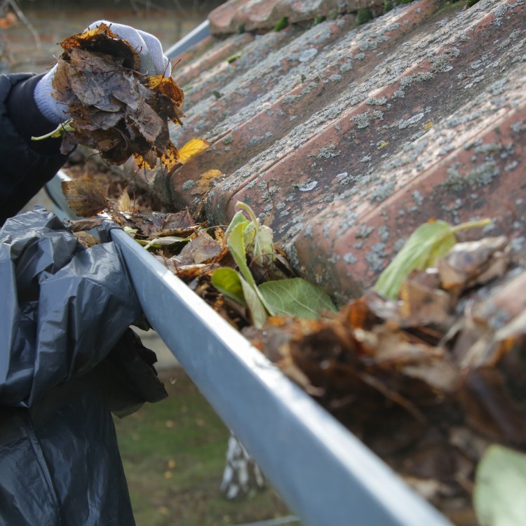 Cleaning services in Bradenton, FL