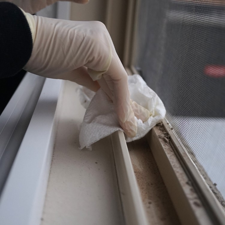 Cleaning services in Bradenton, FL