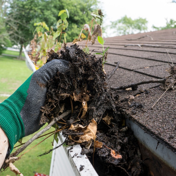 Cleaning services in Bradenton, FL