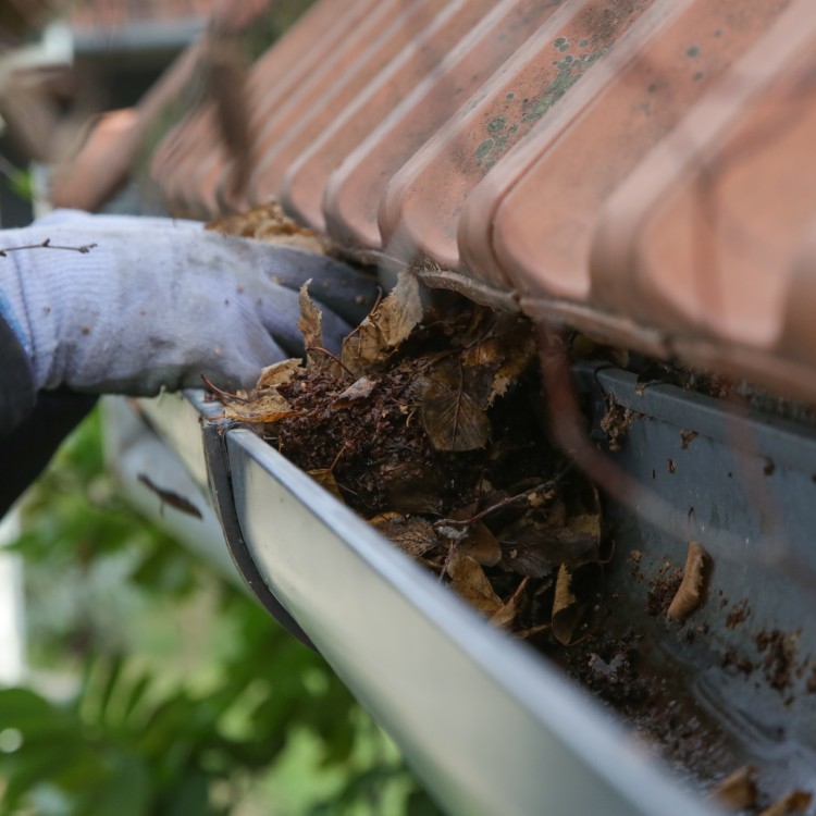 Cleaning services in Bradenton, FL